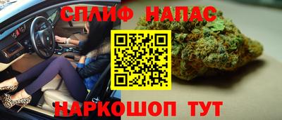 крисы Шахты