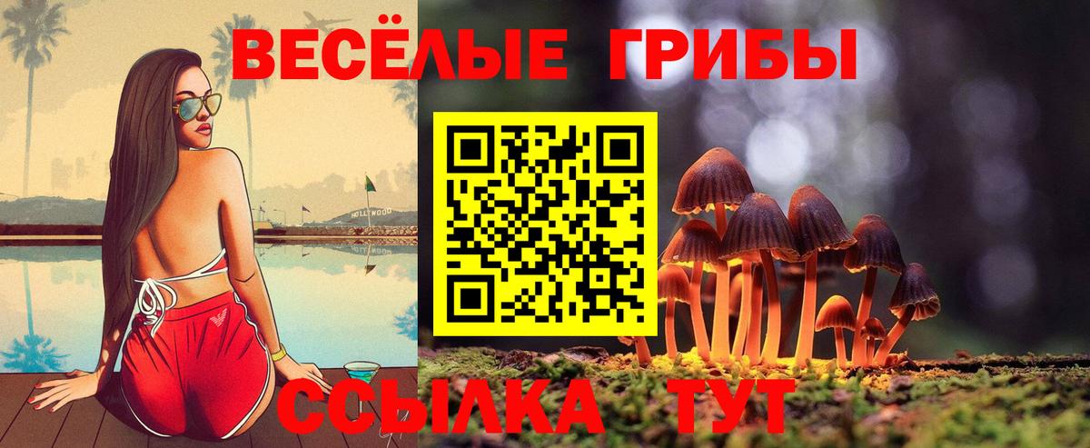 Богородицк  Галлюциногенные грибы прущие грибы  Вход с VPN 
